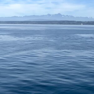 Psychosynthese Coaching 2-daagse