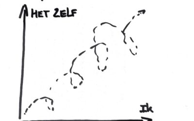 10 jaar onze VOF Dimensies van Groei