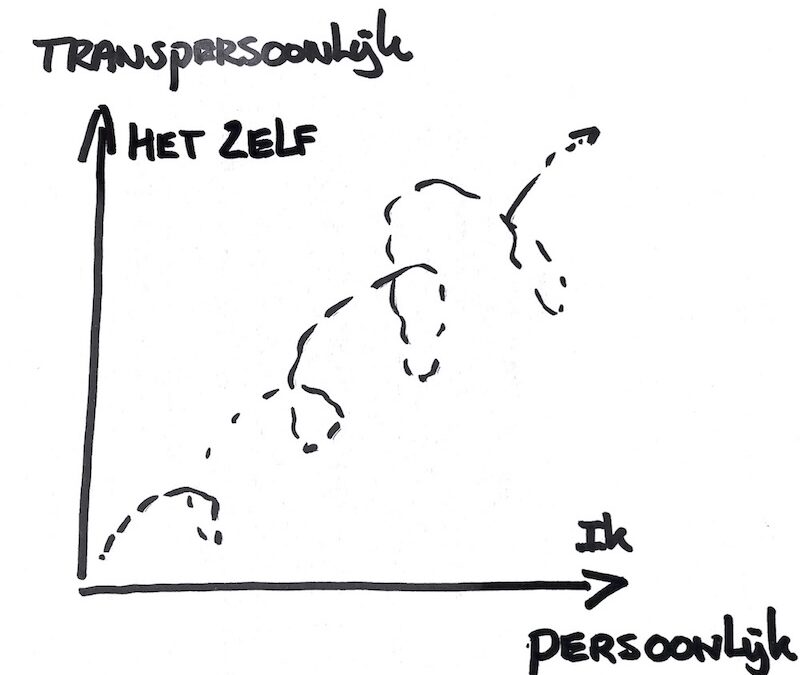 Dimensies van Groei