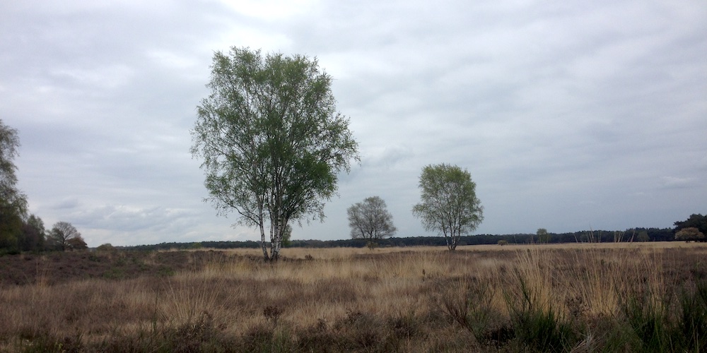 Stevig staan in de zakelijke wind